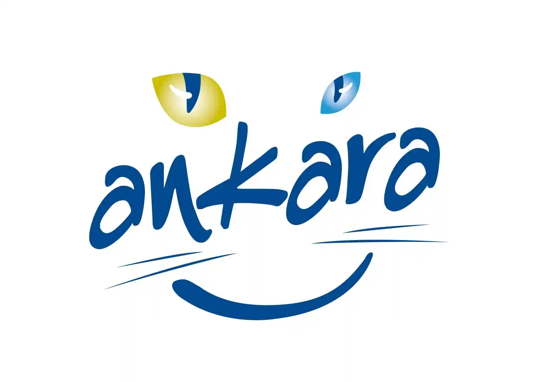 Visit in Ankara